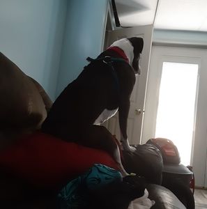 Meet your Posher, Logan